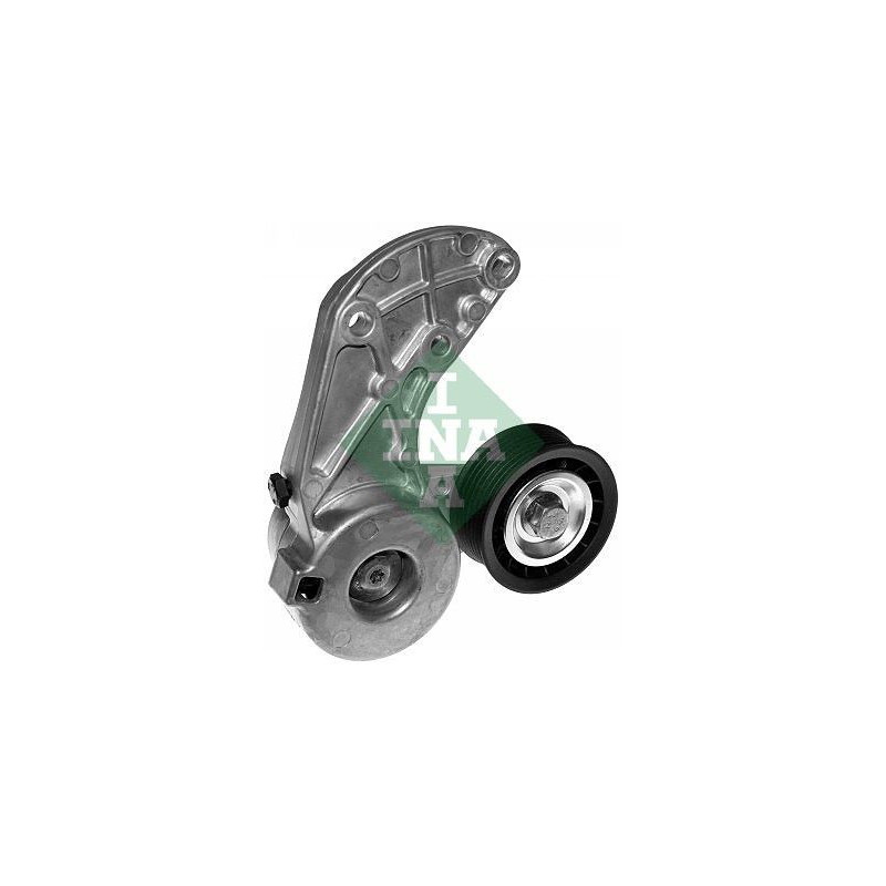 Tendicinghia trapezoidale - INA