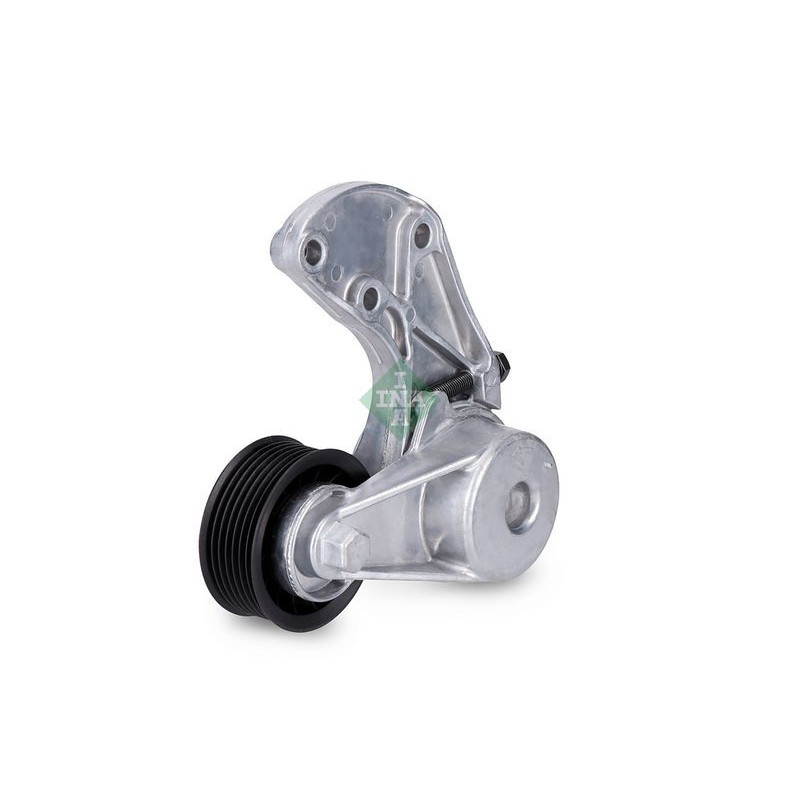 Tendicinghia trapezoidale - INA