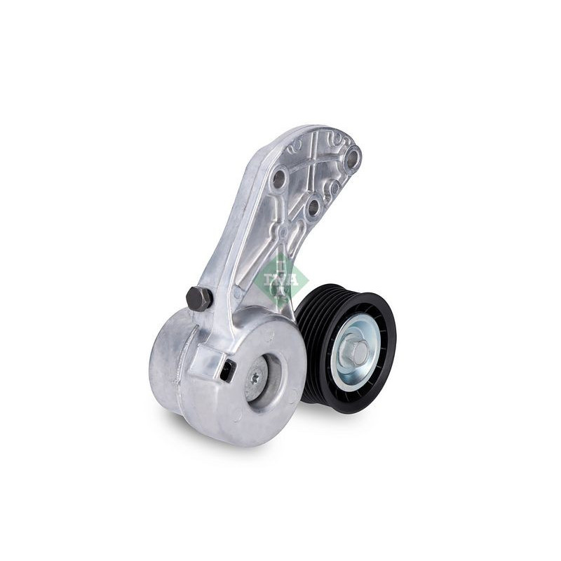 Tendicinghia trapezoidale - INA