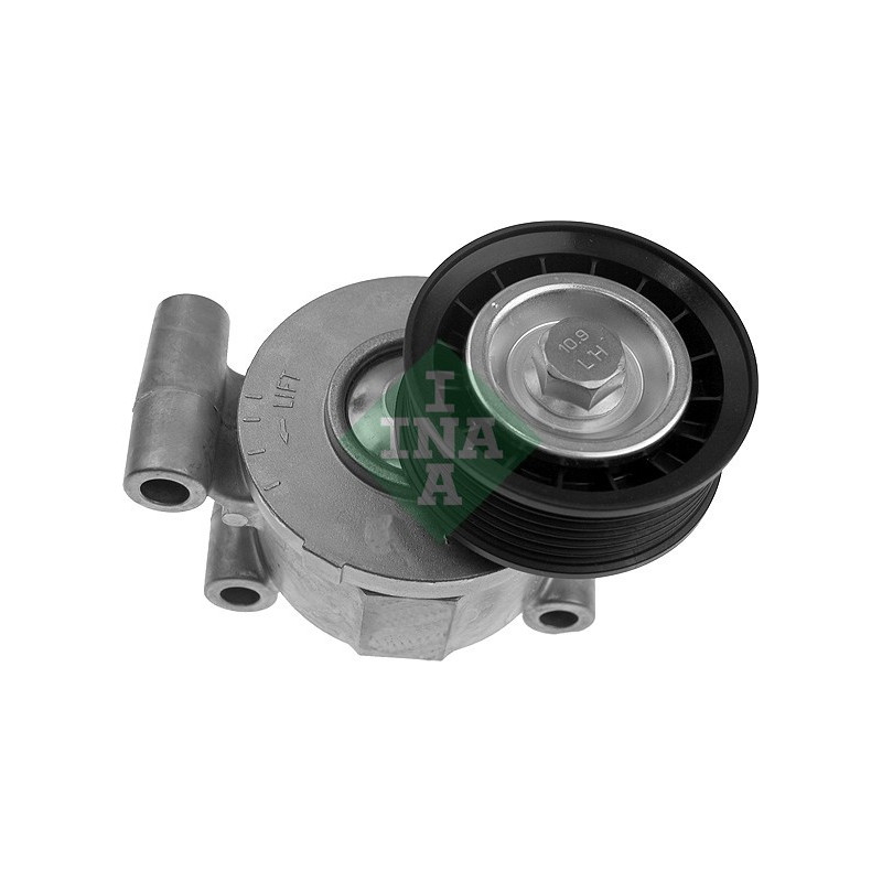 Tendicinghia trapezoidale - INA