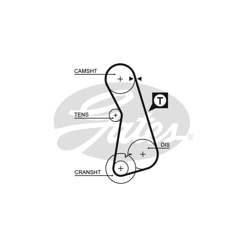 Cinghia/catena distribuzione - GATES