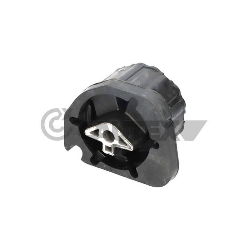 Supporto motore - CAUTEX GOMMA E PARTI MOTORE