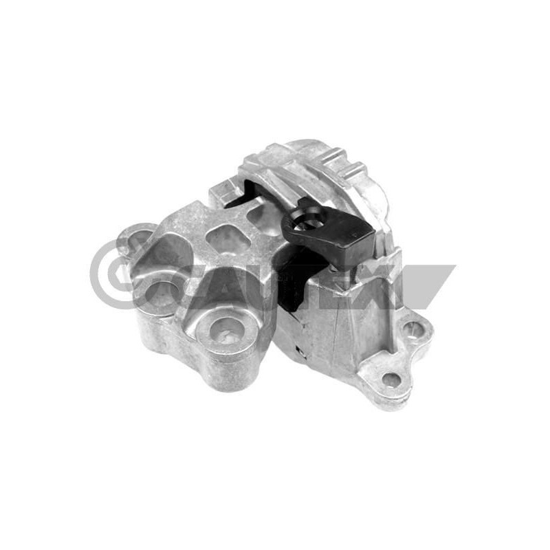 Supporto motore - CAUTEX GOMMA E PARTI MOTORE