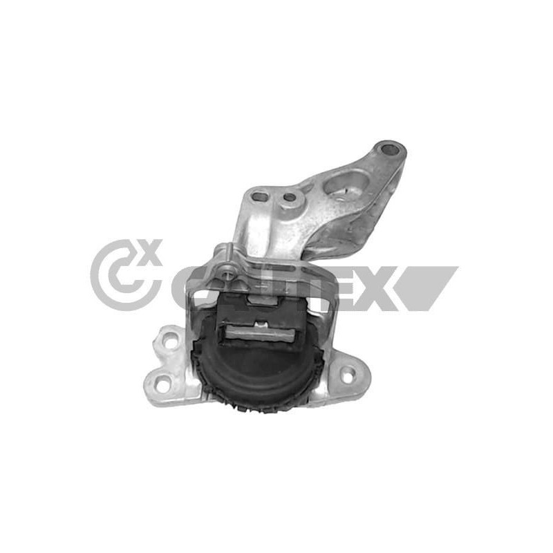 Supporto motore - CAUTEX GOMMA E PARTI MOTORE