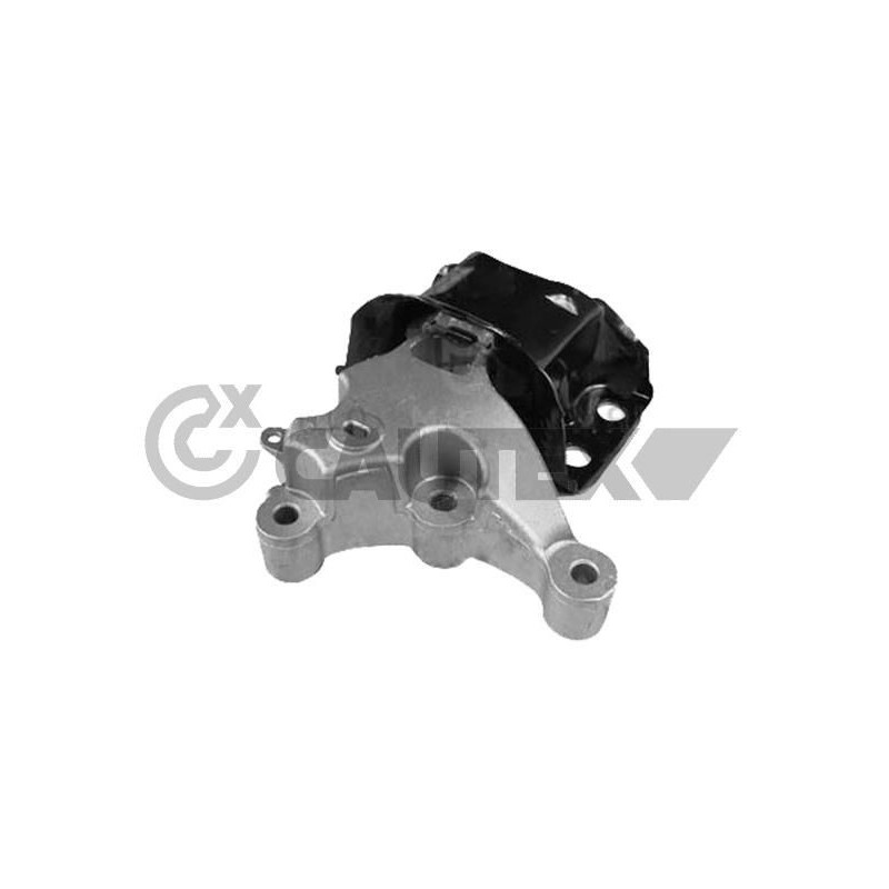 Supporto motore - CAUTEX GOMMA E PARTI MOTORE