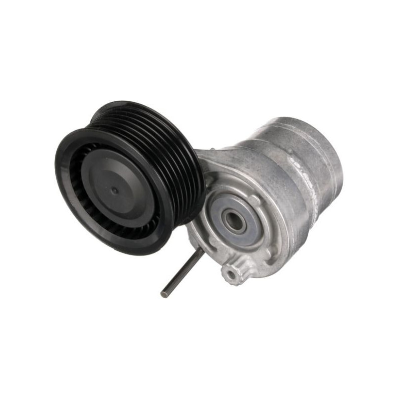 Tendicinghia trapezoidale - GATES