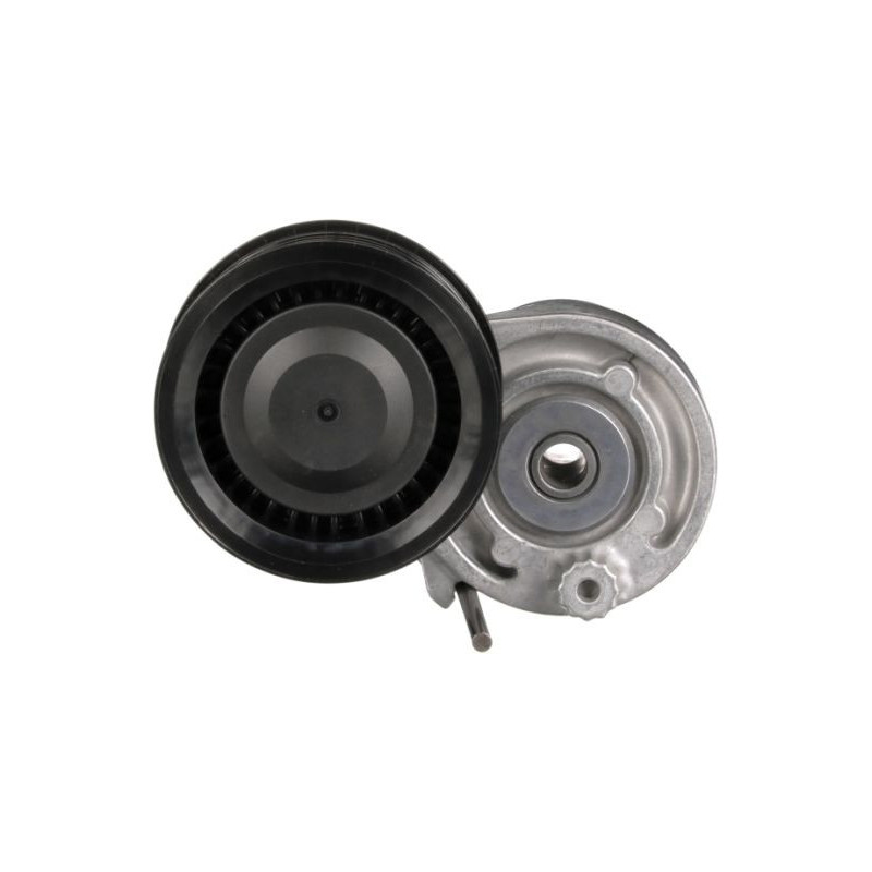 Tendicinghia trapezoidale - GATES