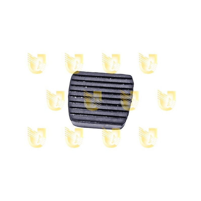 Pinza freno asse posteriore - UNIGOM