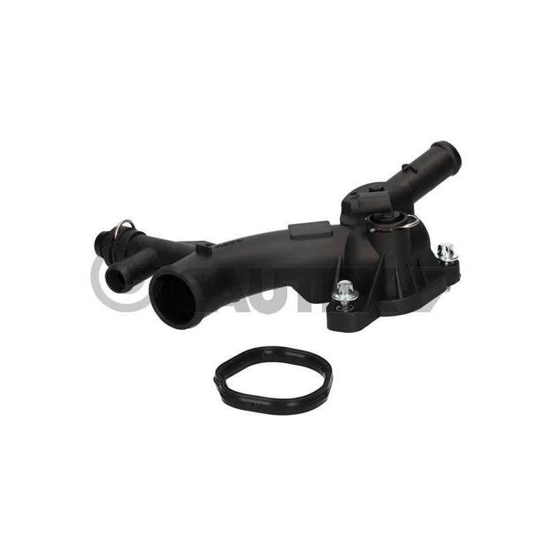 Termostato raffreddamento - CAUTEX GOMMA E PARTI MOTORE