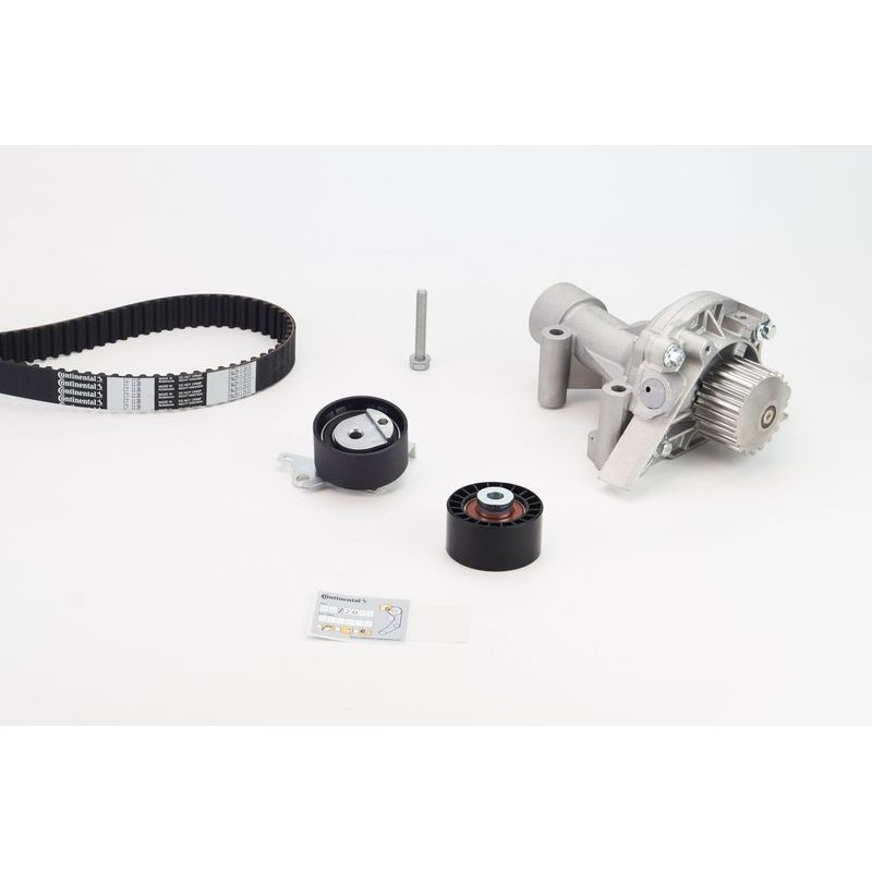 Cinghia/catena distribuzione - CONTITECH