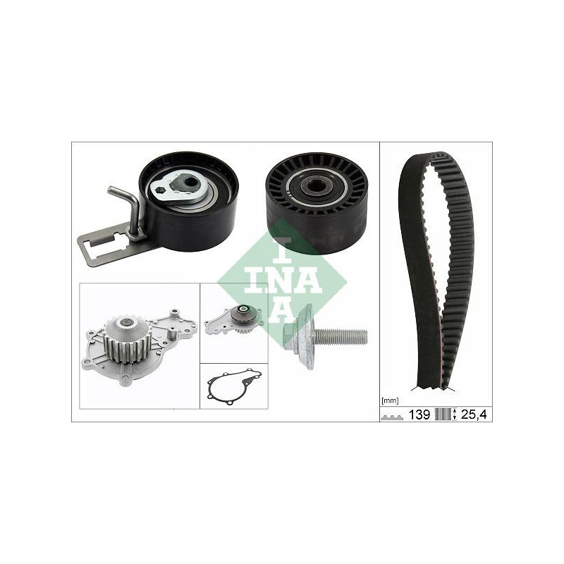 Tendicinghia trapezoidale - INA