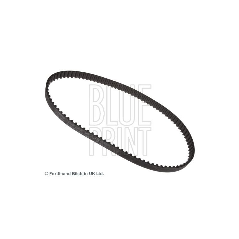 Cinghia/catena distribuzione - BLUE PRINT