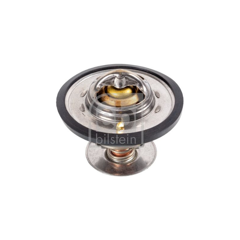 Termostato raffreddamento - FEBI