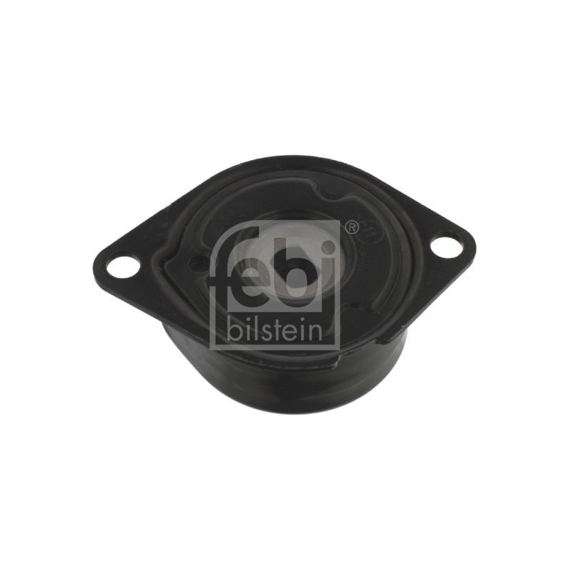 Tendicinghia trapezoidale - FEBI