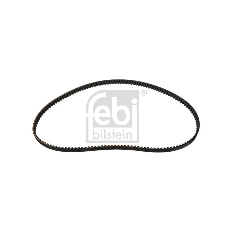 Cinghia/catena distribuzione - FEBI