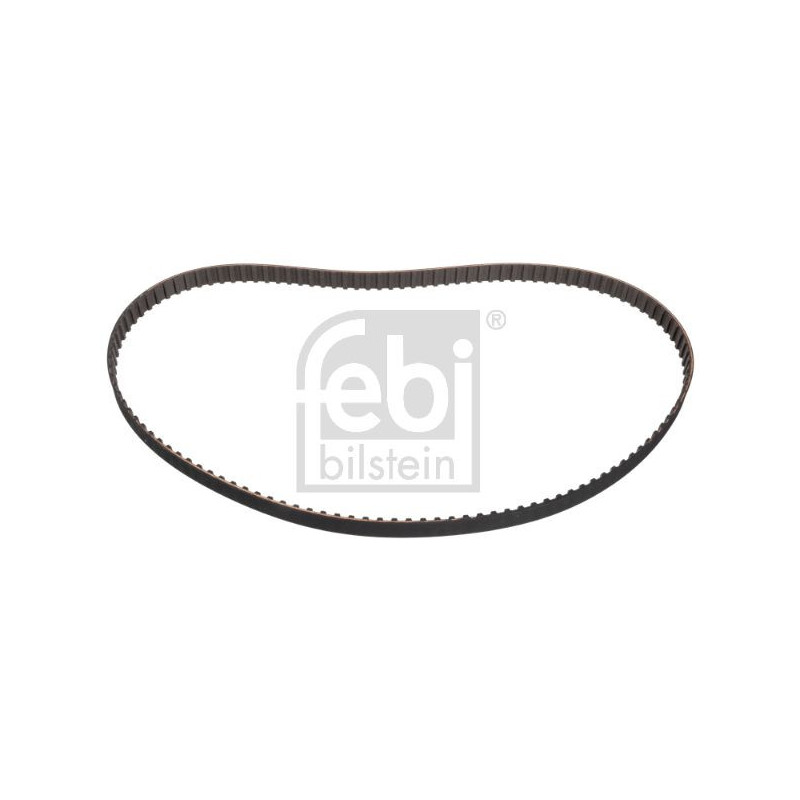 Cinghia/catena distribuzione - FEBI