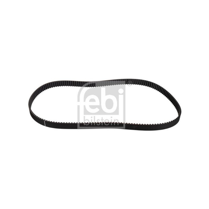 Cinghia/catena distribuzione - FEBI