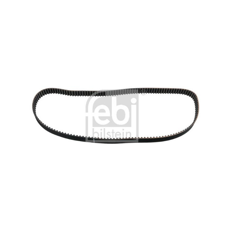 Cinghia/catena distribuzione - FEBI