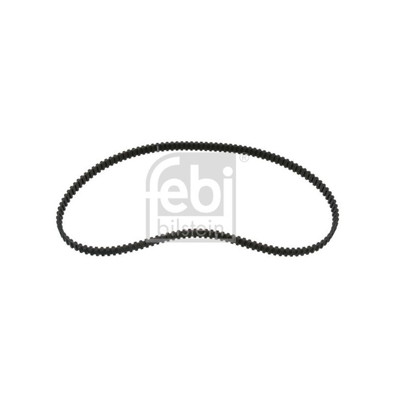 Cinghia/catena distribuzione - FEBI