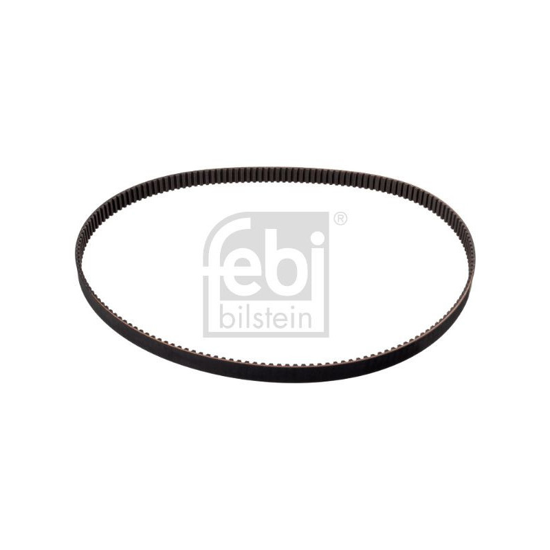 Cinghia/catena distribuzione - FEBI