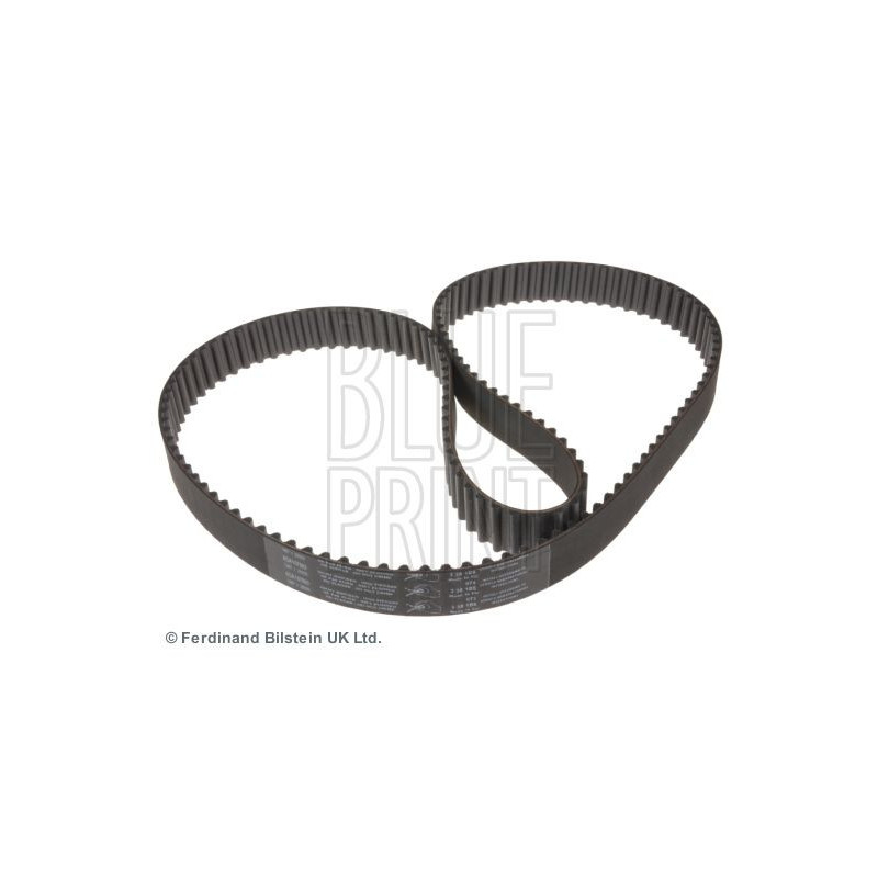 Cinghia/catena distribuzione - BLUE PRINT