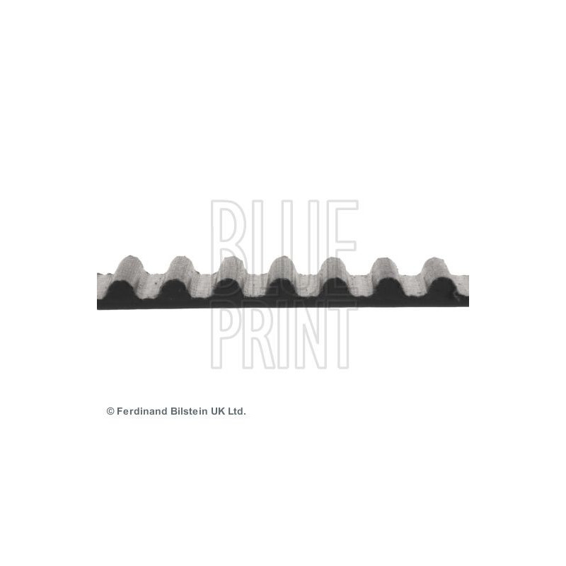 Cinghia/catena distribuzione - BLUE PRINT