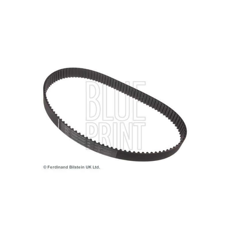 Cinghia/catena distribuzione - BLUE PRINT