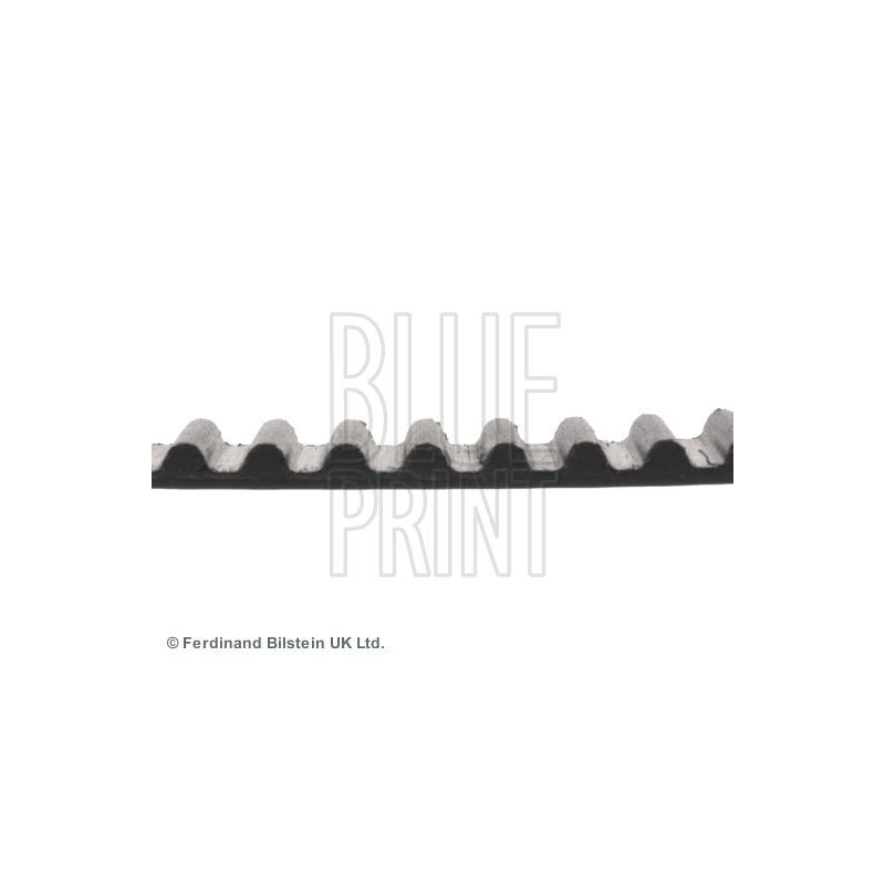 Cinghia/catena distribuzione - BLUE PRINT