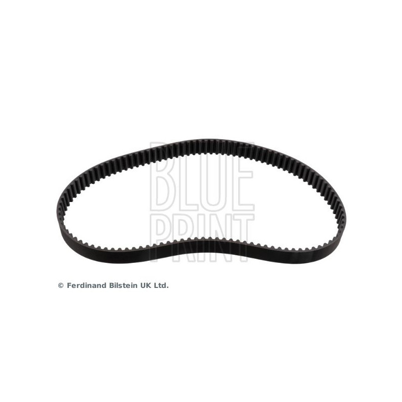 Cinghia/catena distribuzione - BLUE PRINT