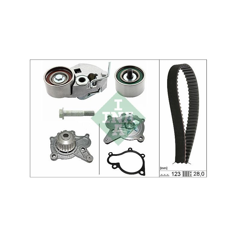 Tendicinghia trapezoidale - INA