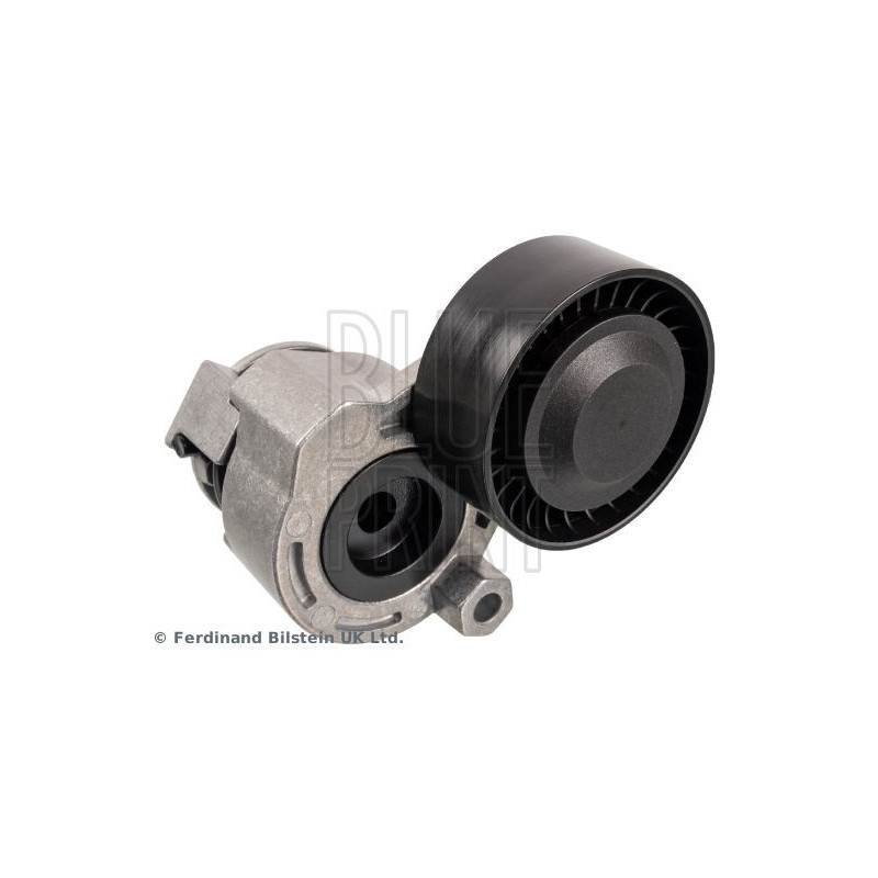 Tendicinghia trapezoidale - BLUE PRINT