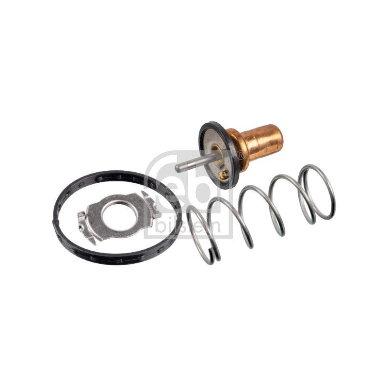 Termostato raffreddamento - FEBI