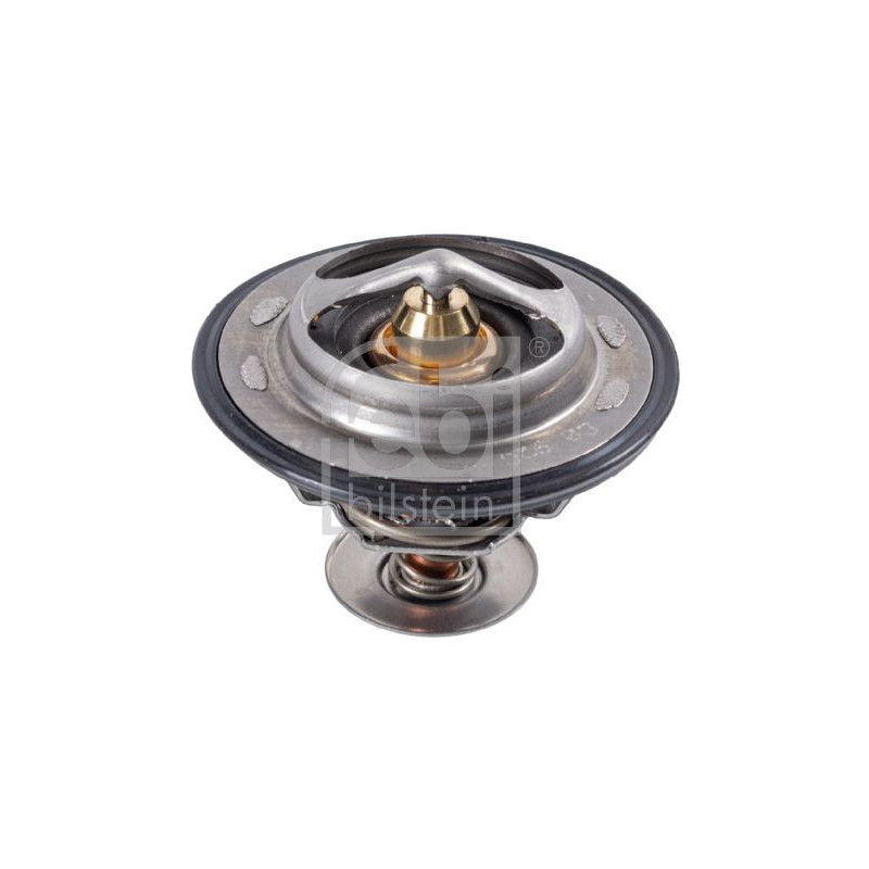 Termostato raffreddamento - FEBI