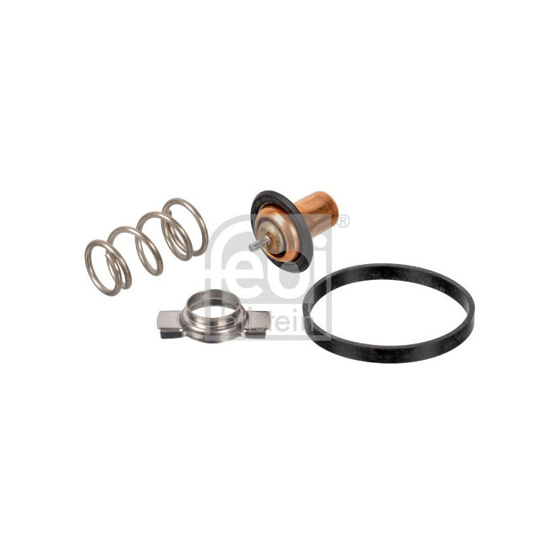 Termostato raffreddamento - FEBI