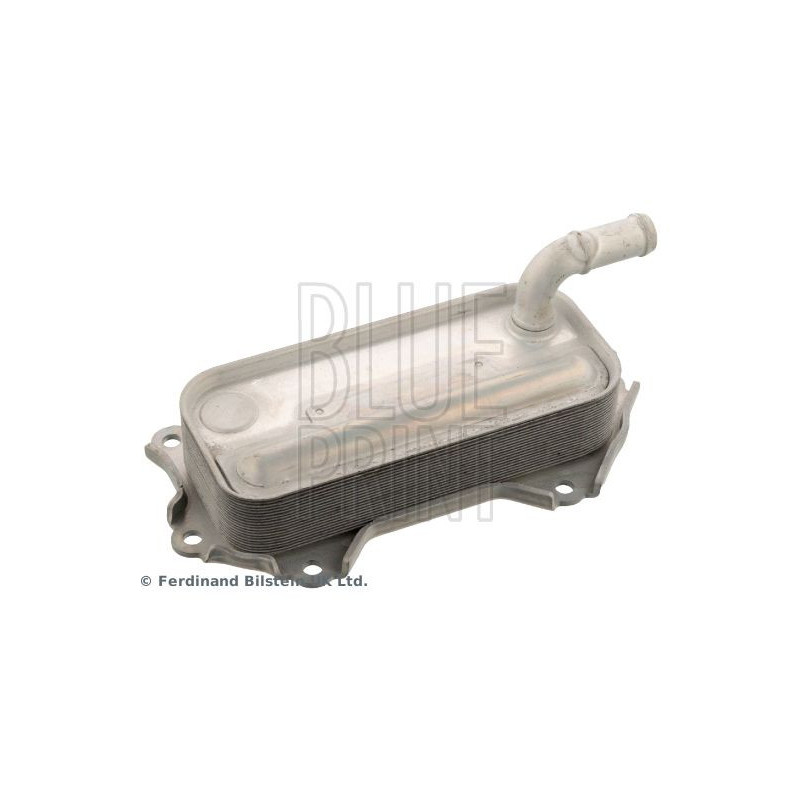 Radiatore olio motore - BLUE PRINT