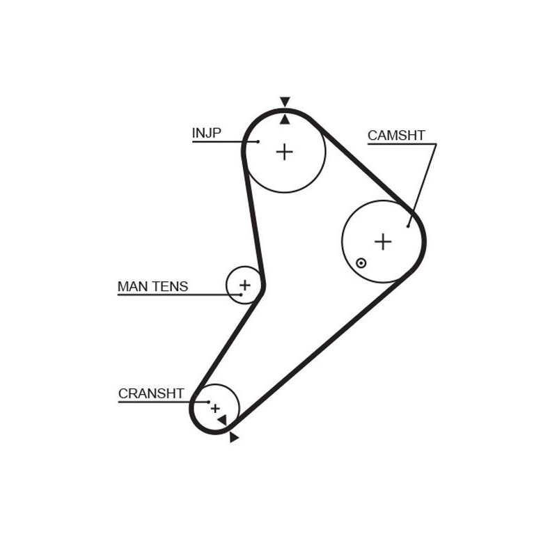 Cinghia/catena distribuzione - GATES