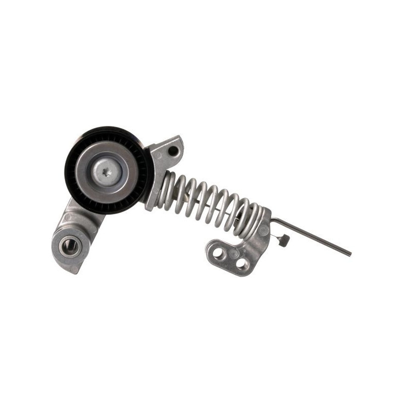 Tendicinghia trapezoidale - GATES