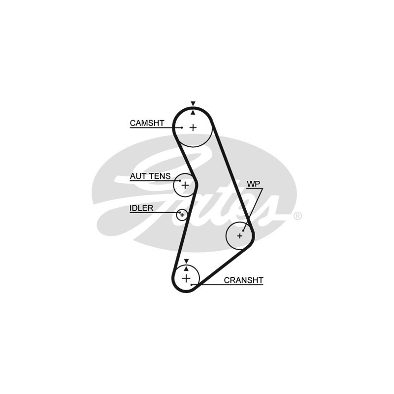 Cinghia/catena distribuzione - GATES
