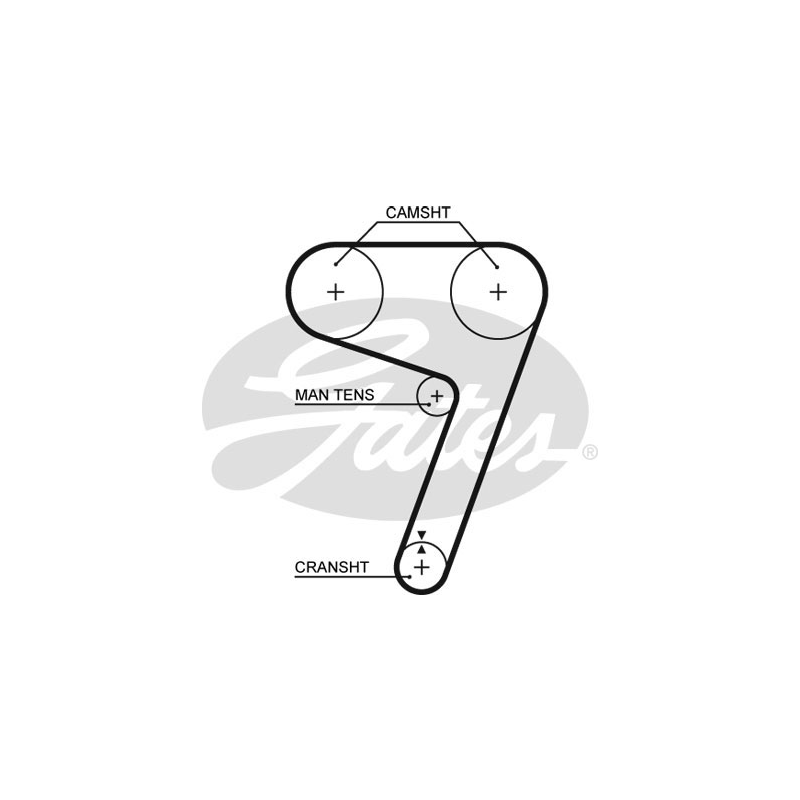 Cinghia/catena distribuzione - GATES