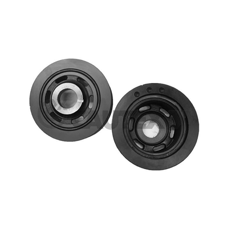 Puleggia albero motore - CAUTEX GOMMA E PARTI MOTORE