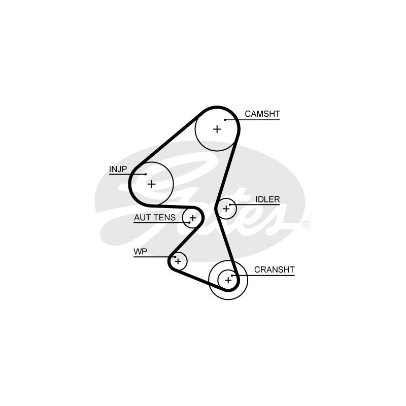 Cinghia/catena distribuzione - GATES