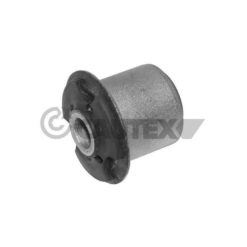 Braccio oscillante asse posteriore - CAUTEX GOMMA E PARTI MOTORE