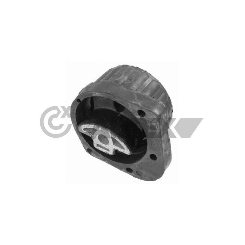 Supporto motore - CAUTEX GOMMA E PARTI MOTORE