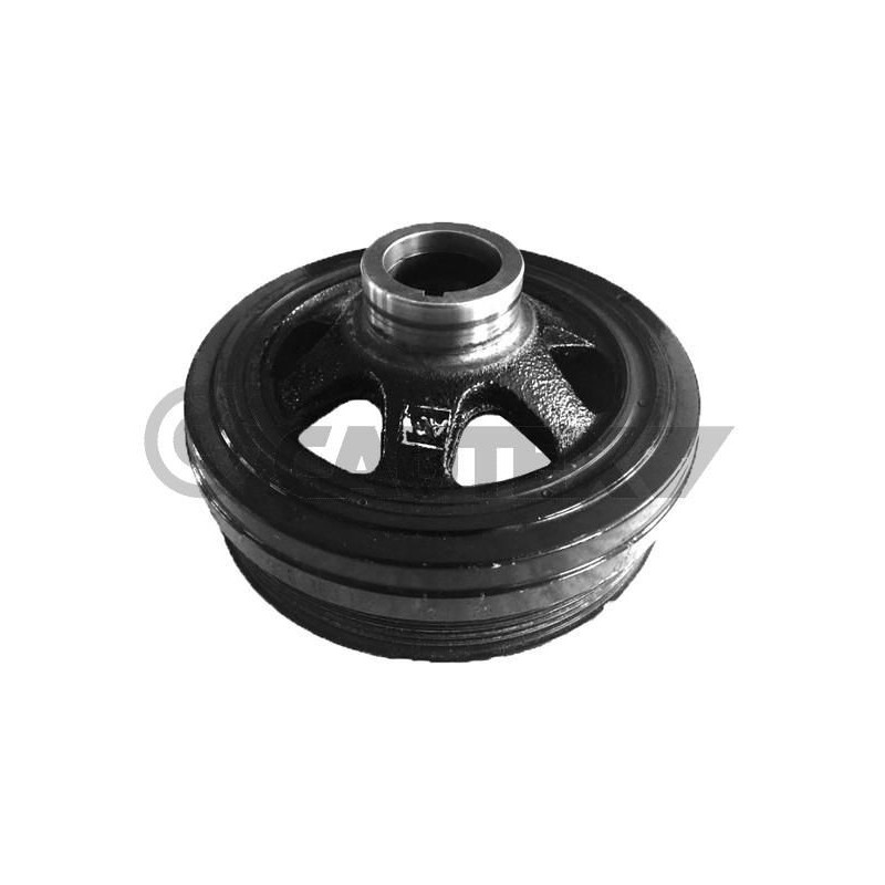 Puleggia albero motore - CAUTEX GOMMA E PARTI MOTORE