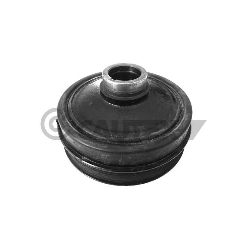 Puleggia albero motore - CAUTEX GOMMA E PARTI MOTORE