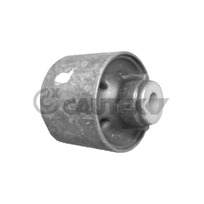 Pastiglie freno asse posteriore - CAUTEX GOMMA E PARTI MOTORE