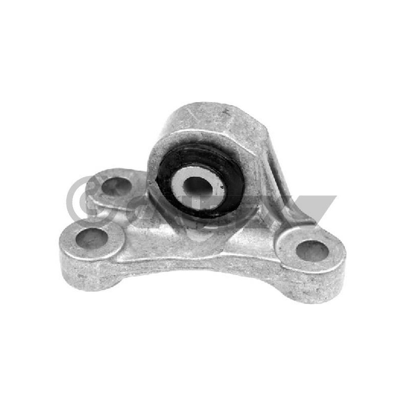 Supporto motore - CAUTEX GOMMA E PARTI MOTORE