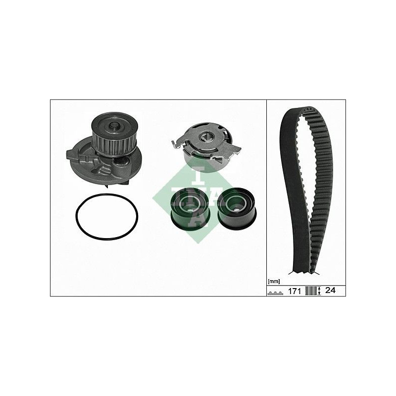 Tendicinghia trapezoidale - INA