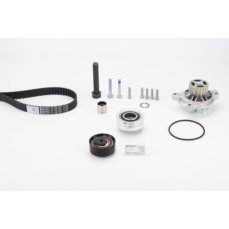 Cinghia/catena distribuzione - CONTITECH