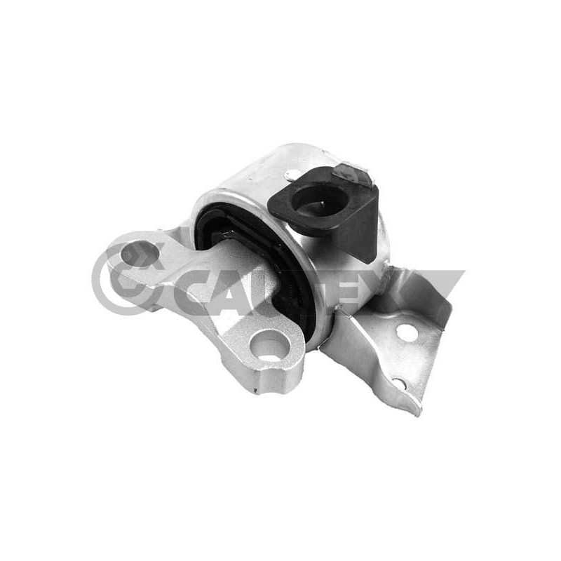 Supporto motore - CAUTEX GOMMA E PARTI MOTORE